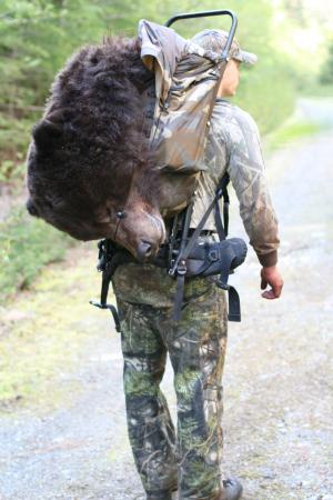 packing a grizzly 