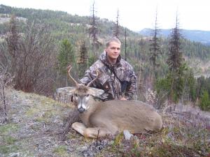 whitetail buck with hunter