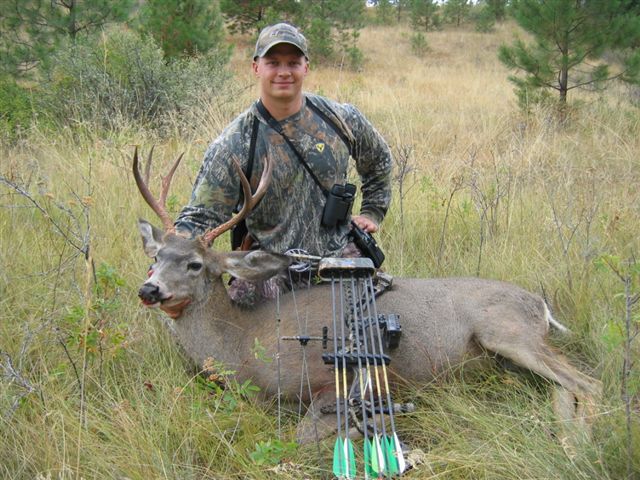 Archery mule deer buck