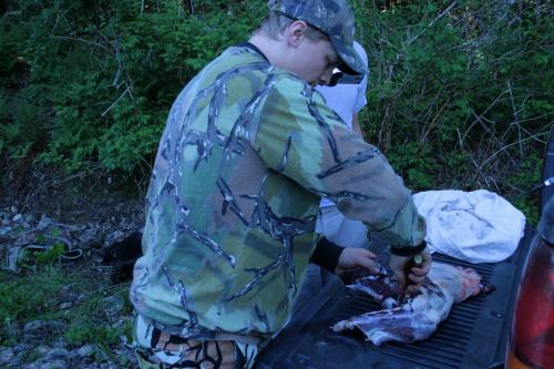 Removing Bear Meat From Bone