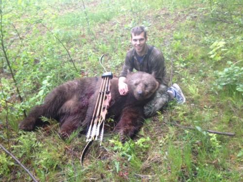bear with traditional archer