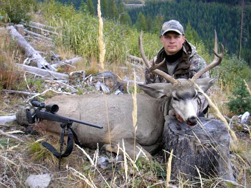 Rifle shot mule deer