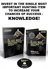 Bear Hunting DVD and Book